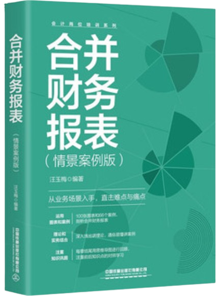 合并财务报表:情景案例版
